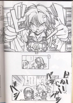 Page 21 of E-RO² III