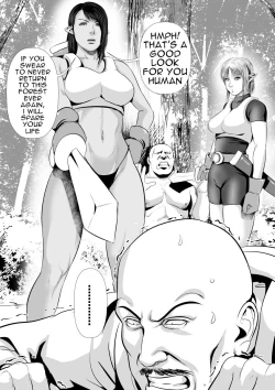 Page 3 of Sanzoku VS Elf KishiZenpen