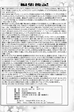 Page 29 of RURIMIX SP11