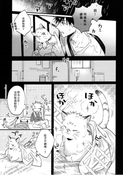 Page 8 of FUSHI TO NEKO