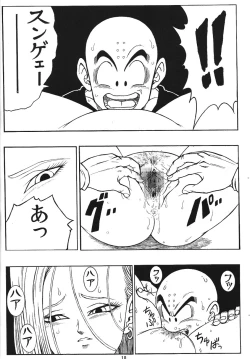 Page 17 of DragonBall H Maki San