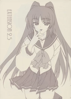 Page 1 of EXTENSION 2.5