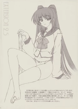 Page 2 of EXTENSION 2.5