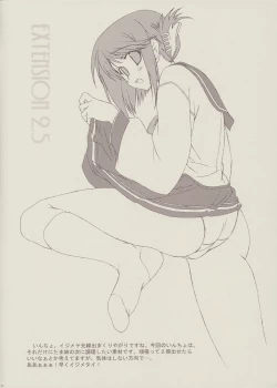 Page 4 of EXTENSION 2.5