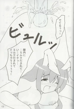 Page 12 of Touhou Mousou Kyou 4 | Delusional Village 4