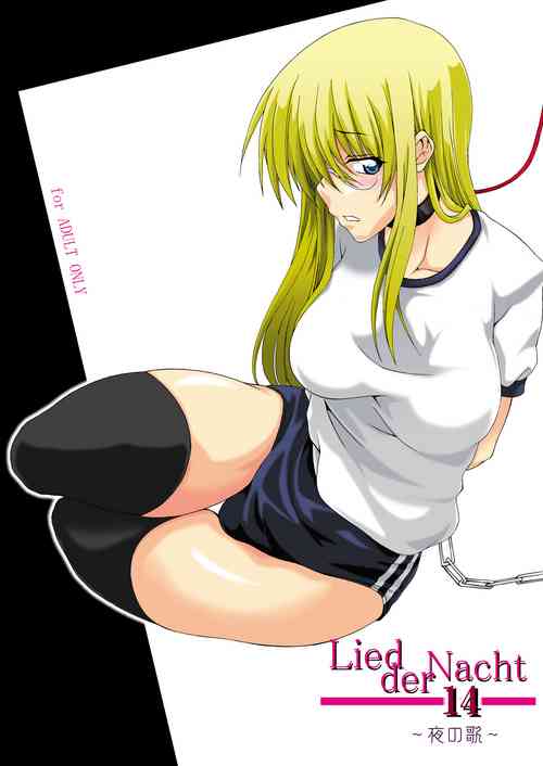 Download Lied der Nacht 14