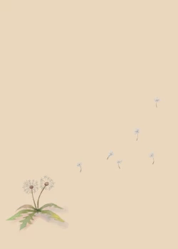 Page 23 of Tanetsuke Kojiin