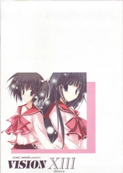 Page 14 of VISION XIII