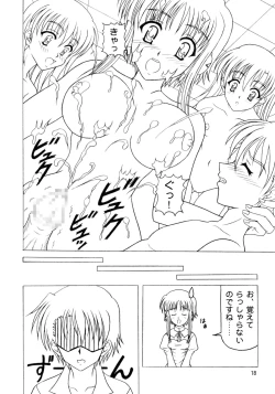 Page 17 of Daikon Ingen Akitenja!!