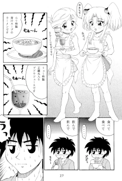 Page 16 of RURIMIX SP4