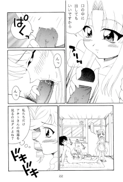 Page 21 of RURIMIX SP4