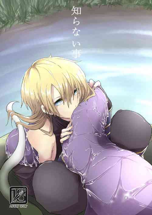 Download Shiranai koto