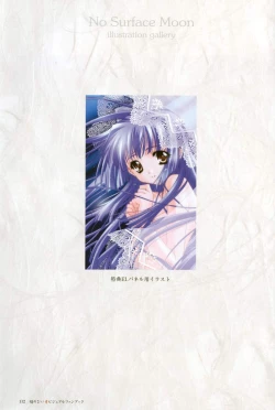 Page 113 of Kao no Nai Tsuki Visual Fanbook