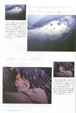 Page 13 of Kao no Nai Tsuki Visual Fanbook