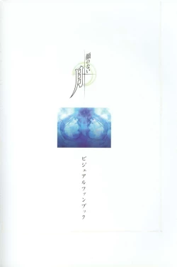 Page 2 of Kao no Nai Tsuki Visual Fanbook