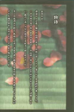 Page 3 of Kao no Nai Tsuki Visual Fanbook