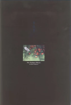 Page 78 of Kao no Nai Tsuki Visual Fanbook