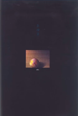 Page 98 of Kao no Nai Tsuki Visual Fanbook