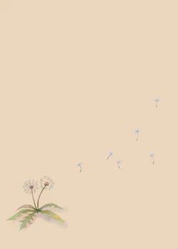 Page 23 of Tanetsuke Kojiin