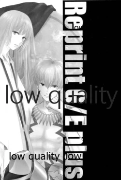 Page 19 of Reprint G/E plus