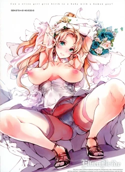 Page 2 of Elf no Yomeiri