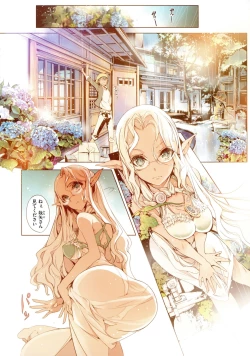 Page 8 of Elf no Yomeiri