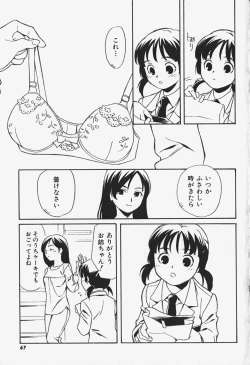 Page 68 of FLAT STYLE