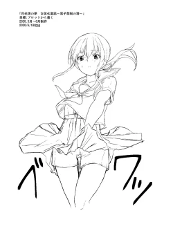 Page 65 of Sudadokei no TSF Matome Hon