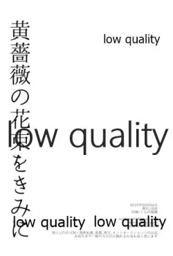 Page 21 of 黄薔薇の花束をきみに