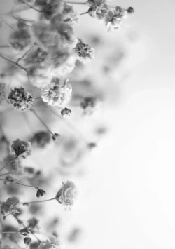 Page 195 of Ochinpo Sukisuki Bitches