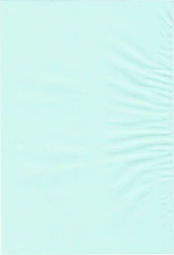 Page 3 of Funny Bunny