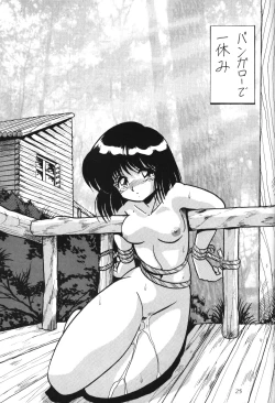 Page 23 of Silent Saturn 2