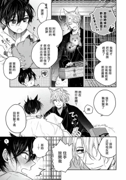 Page 22 of Itoshii Ano Kitsune o Metoritai | 想娶那只可爱狐狸 01-02