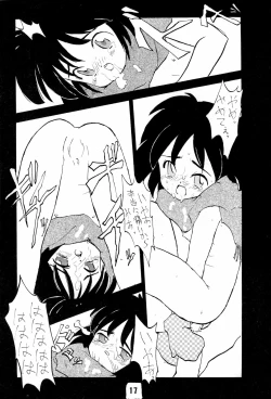 Page 17 of Nai. Sairoku-hon