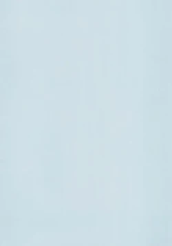 Page 2 of Blue Archive Hon. Full Color