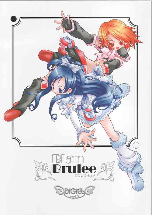 Download Blan Brulee