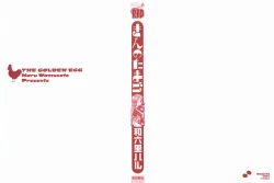 Page 4 of Kin no Tamago