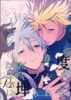 Page 1 of Tada ichido yukinoshita ni uzumoreru