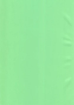 Page 2 of Zenryoku Pose