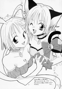 Page 21 of MYUU MUSUME. 3