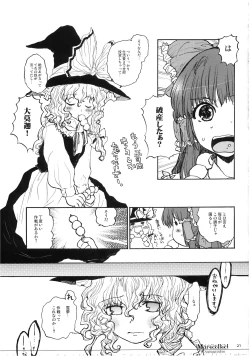 Page 21 of Marecollect