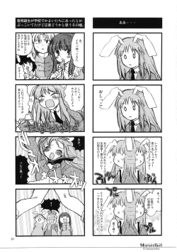 Page 91 of Marecollect