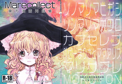Download Marecollect