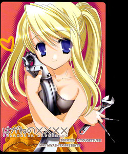 Download Hagane No XXXX