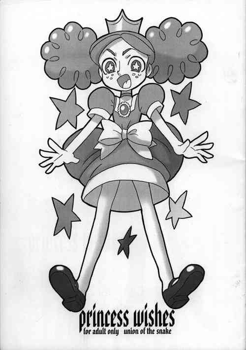 Download princess wishes