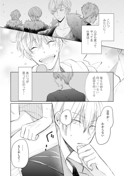 Page 102 of Gohatto Romance!