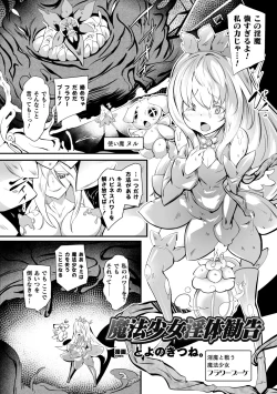 Page 3 of 2D Comic Magazine Shokushu Beya Seigi no Heroine Nikugoku Ryoujoku de Mesu Ochi Acme Vol. 1