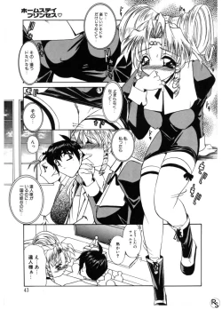 Page 43 of Princess & Lady