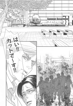 Page 4 of Summer Assortment Remake