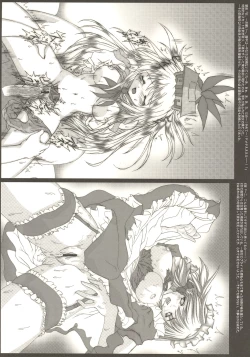 Page 6 of Moe Touhou Gensoukyou - Muyo Nehan